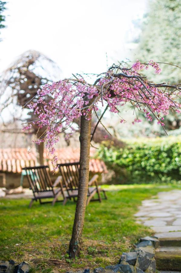 B&B Villa Camilla Pralungo Exteriér fotografie